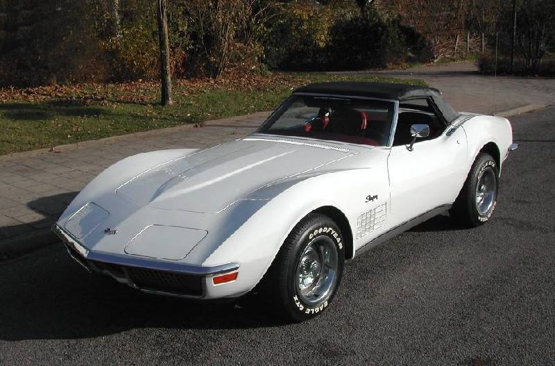 MARTINSRANCH 72 Stingray white red (9) 